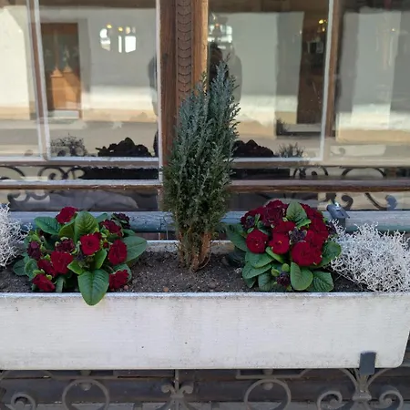 Harder Minerva Hotel 2*