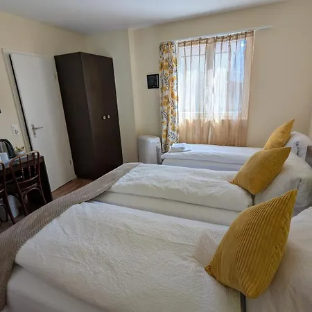 Harder Minerva 호텔 인터라켄