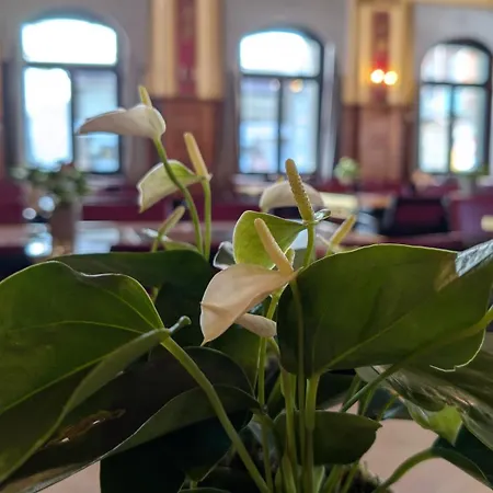 Hotell Harder Minerva