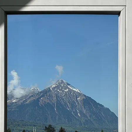 Hotel Harder Minerva Interlaken