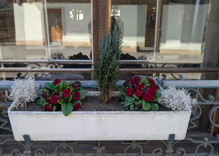 Harder Minerva Hotel 2*