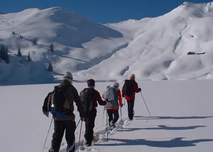 ホテル Harder Minerva 3*