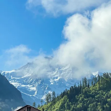 Harder Minerva 호텔 인터라켄